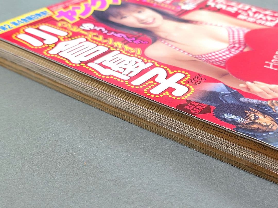 ヤングアニマル2007年3号ベルセルク巻頭カラー第281話掲載/三浦建太郎