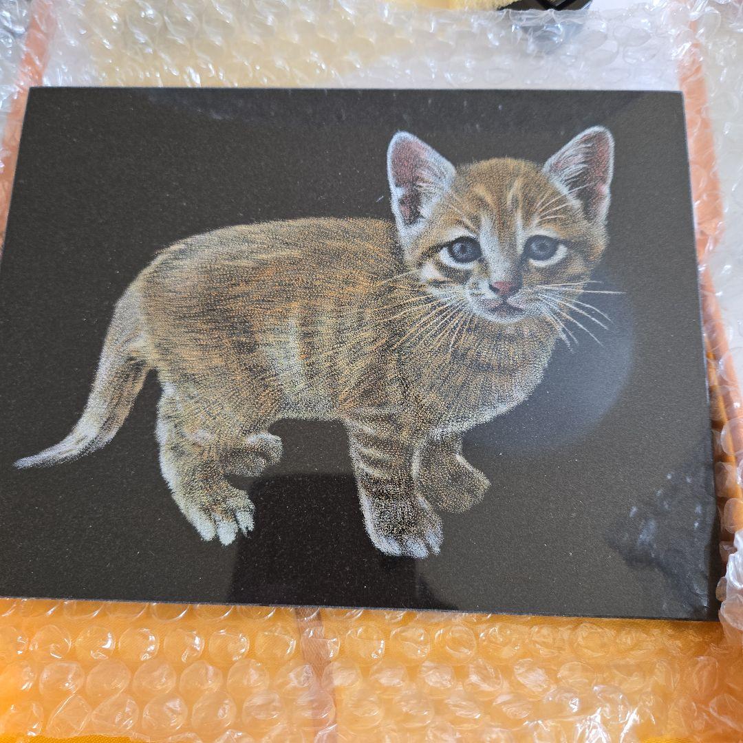 御影石(黒)猫の影彫り置物 楽天市場】【送料無料】【新商品】御影石の猫【影彫り】【目閉じ】【お