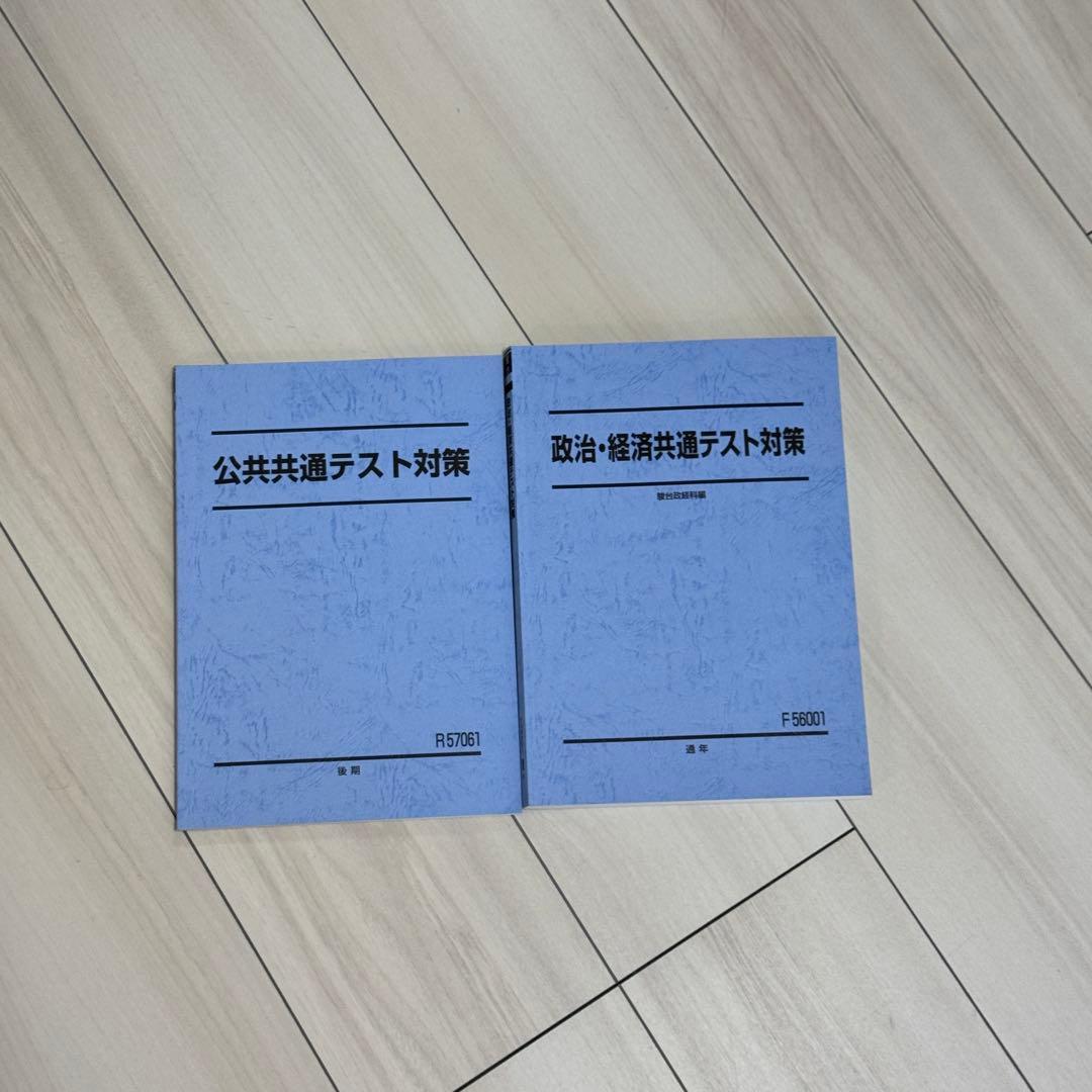 駿台 政治・経済 公共 共通テスト対策テキスト - メルカリ