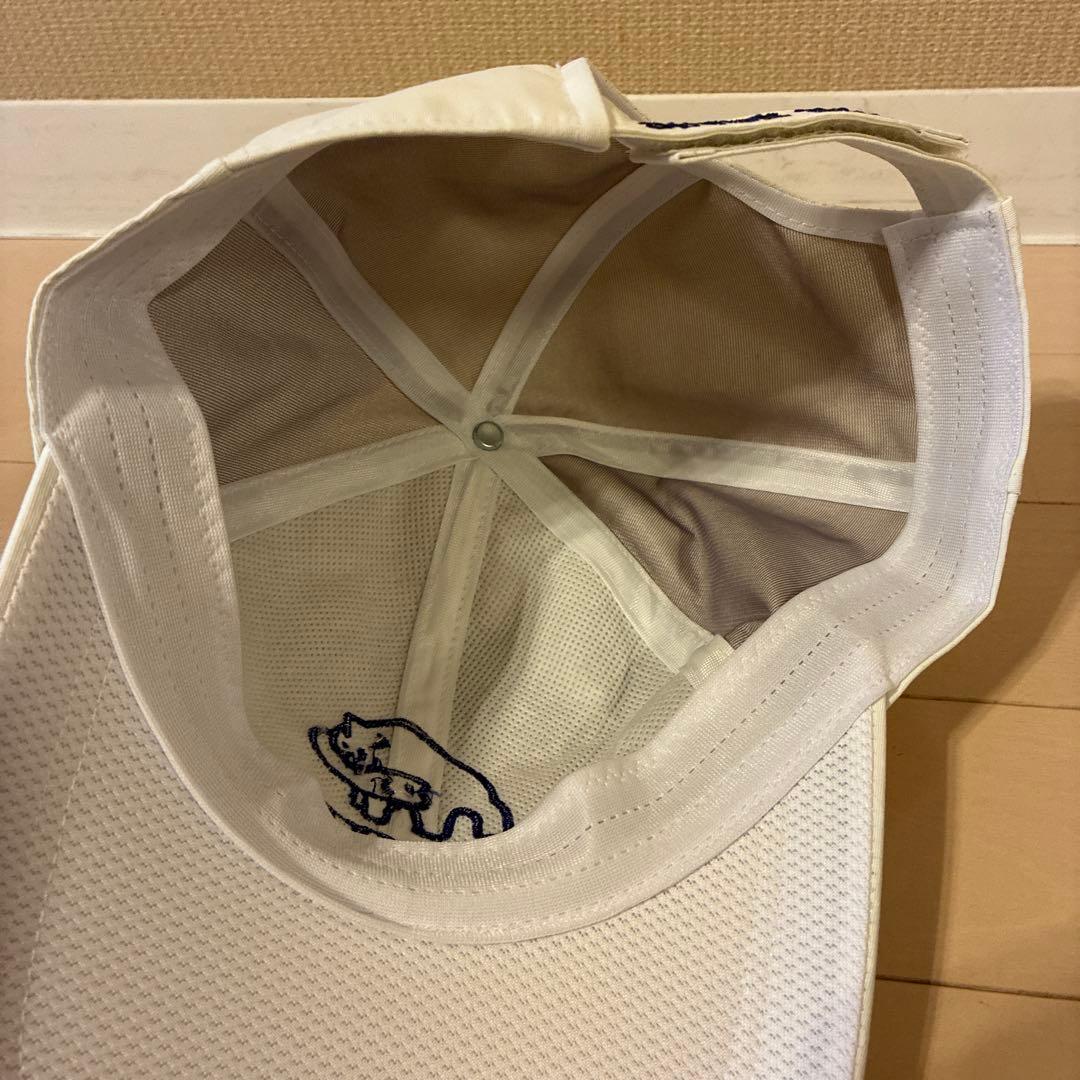 Dongwa ドンワ へら竿 雲舞 15尺 & 非売品キャップ未使用 - メルカリ