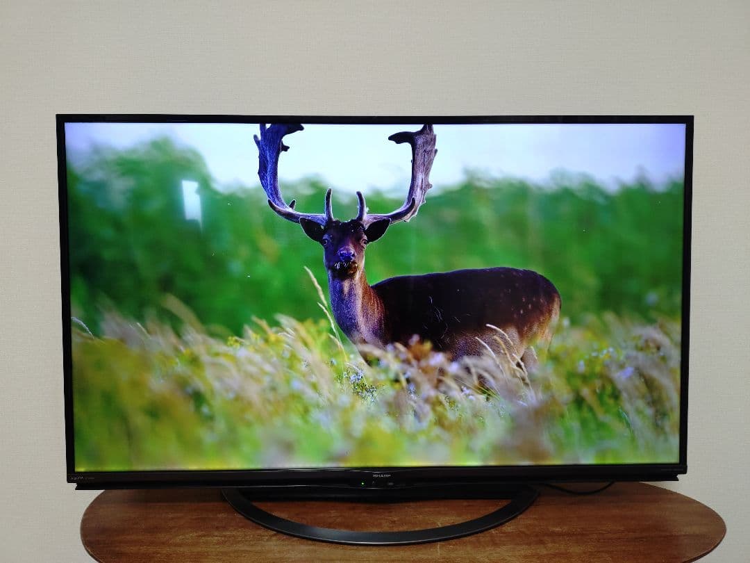 SHARP AQUOS 50インチ 液晶テレビ 4T-C50AJ1 - メルカリ