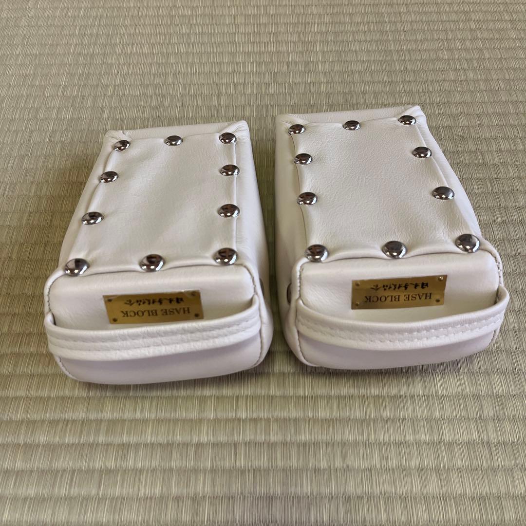 長谷ブロック 長谷澄夫 ハセブロック 和整体 骨盤矯正ブロック カイロ