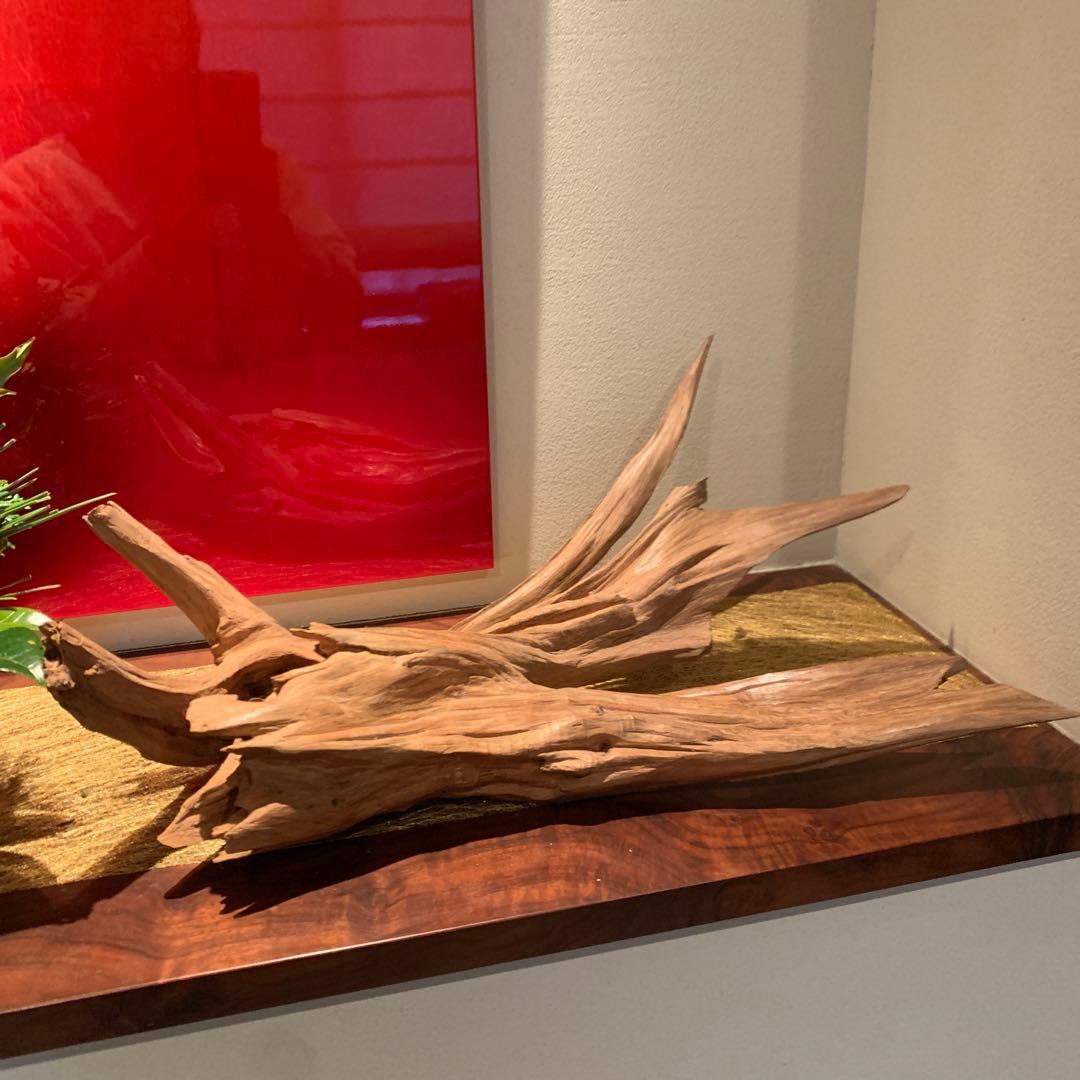 流木 1.5号鉢ホルダー付き流木 卓上型 No.1978 | 流木専門店のアクアリバー