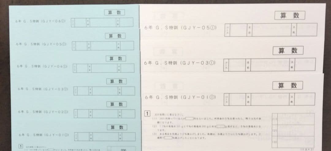 6年算数 G.S特訓 GJY01～06解答 女子学院問題 おまけ付き SAPIX - メルカリ