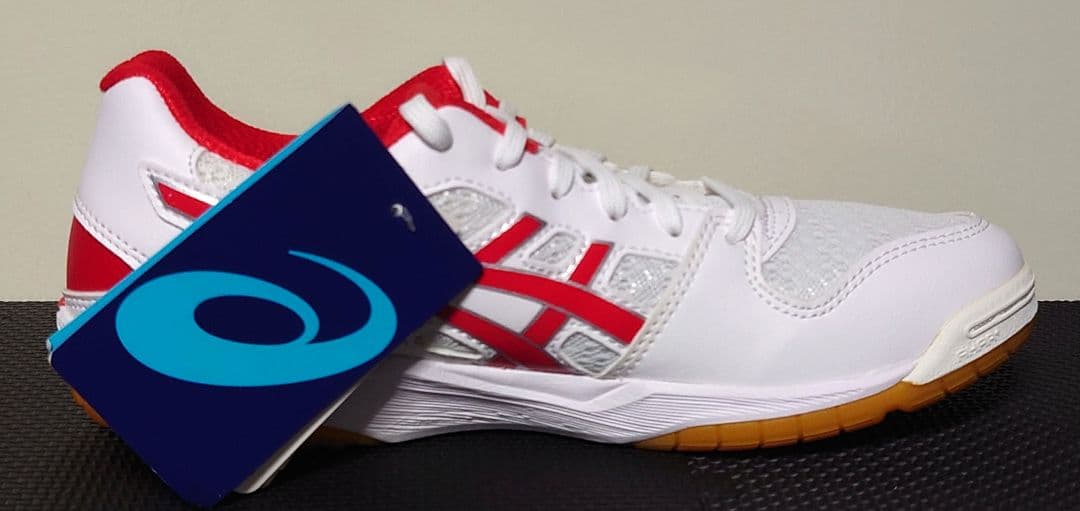 バレーボールシューズ　ROTE JAPAN LYTE FF 24.0cm