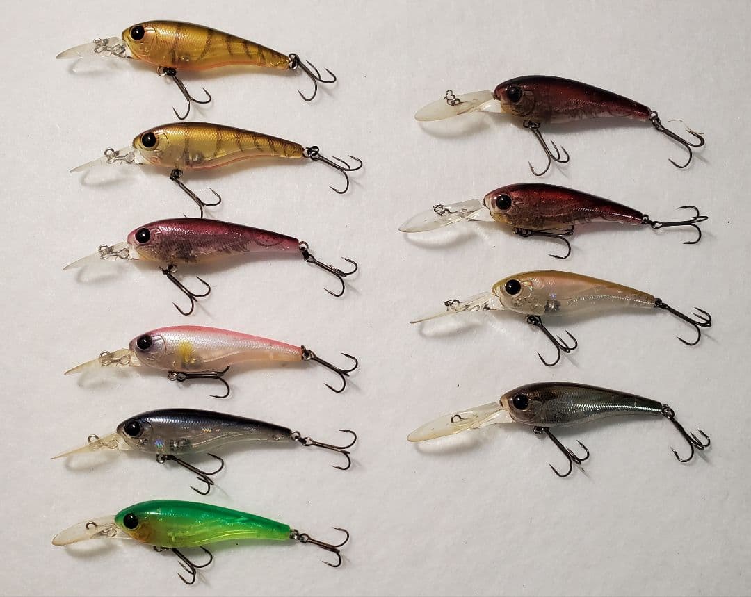 クオン　フローシャッド　セット スタジオコンポジット 25フォーザビーストFOR THE BEAST #78XXXH