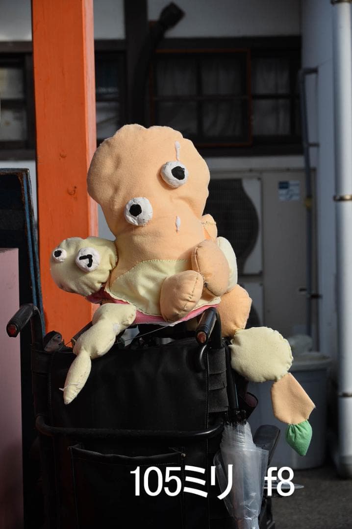 ニコン Nikon AF NIKKOR 28-105mm F3.5-4.5 D