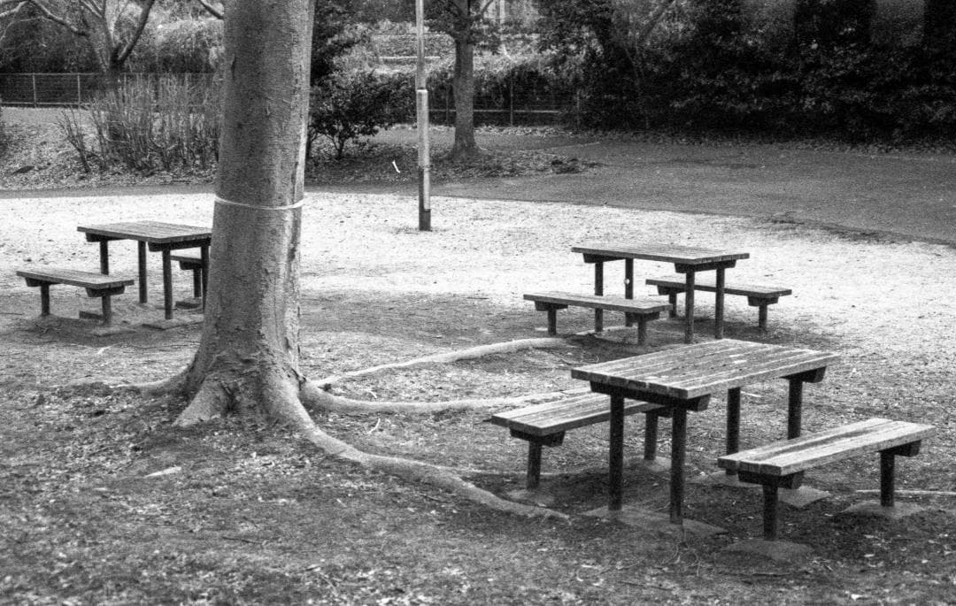 作例試写済み＞Nikon F3 （F3AF）レンズ付 - メルカリ