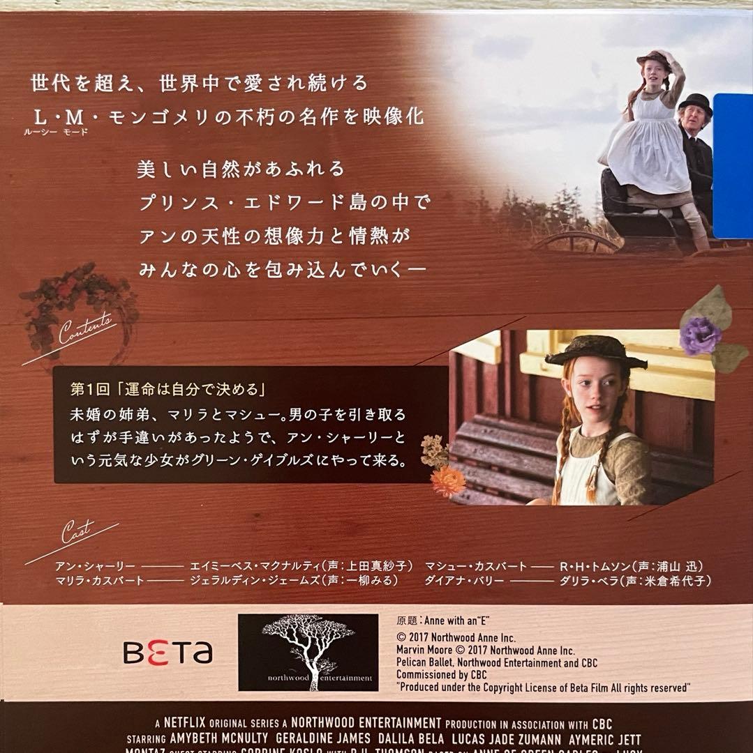 DVD アンという名の少女 シーズン①②③ 海外ドラマ レンタル