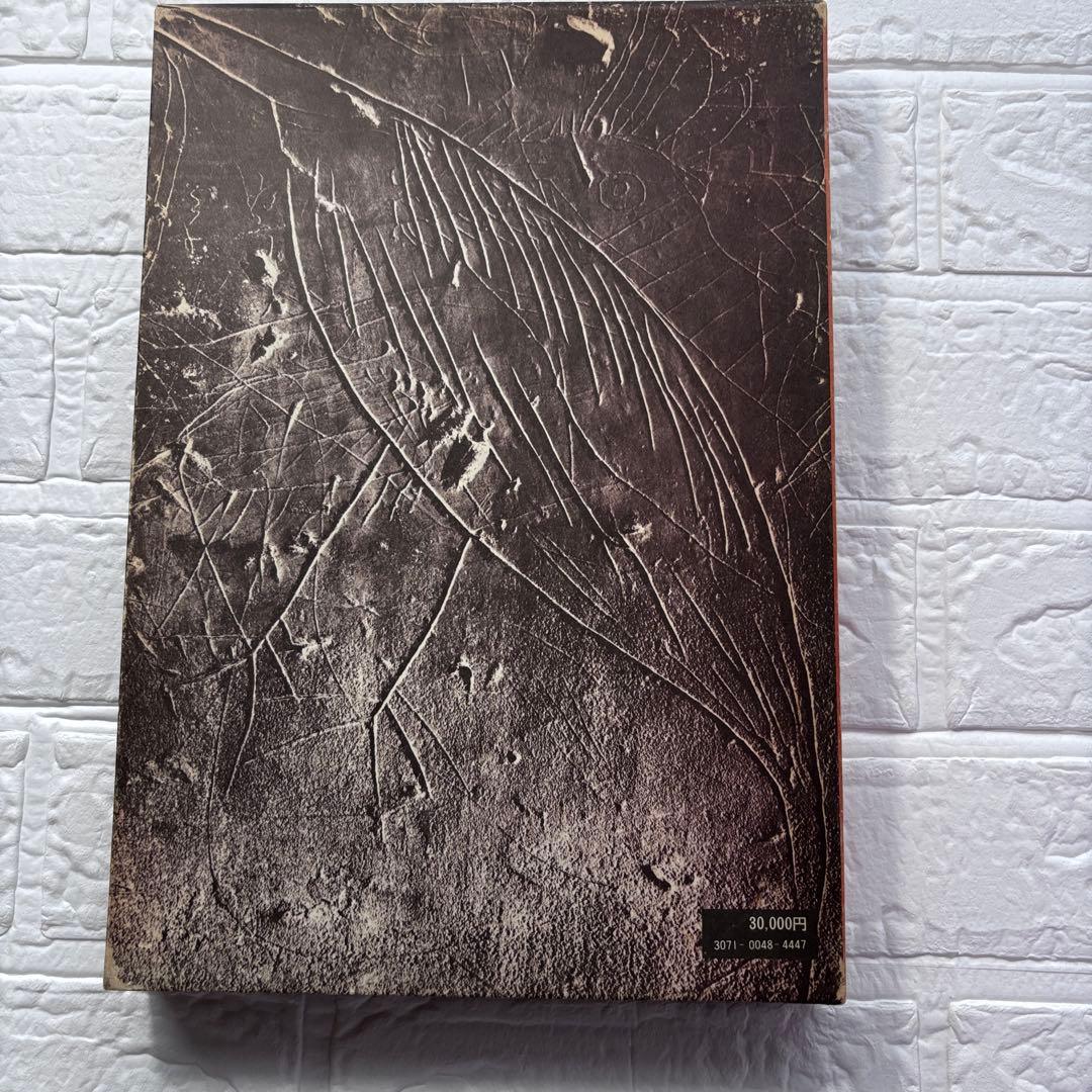 初版◇装飾古墳 榊晃弘写真集 泰流社 - メルカリ