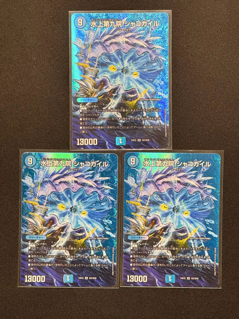 水上第九院 シャコガイル 3枚 - メルカリ