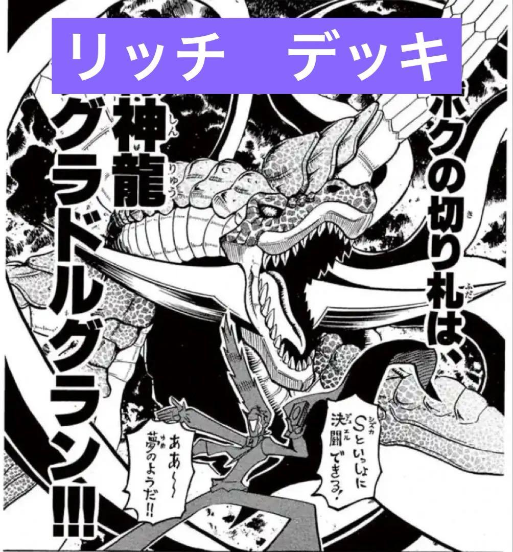 デュエルマスターズ ガルド デュエマ リッチ R 構築デッキ - メルカリ
