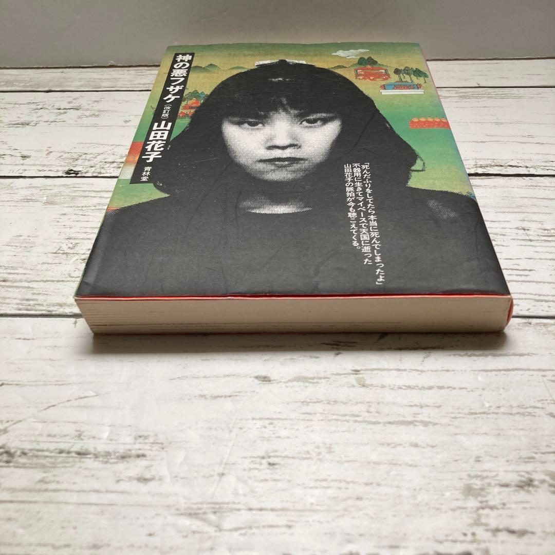送料無料 神の悪フザケ 享年24歳 山田花子 世の中の矛盾と生きづらさに