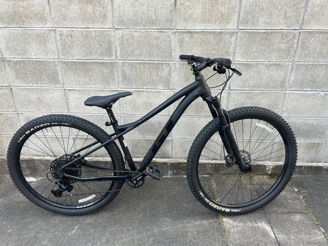 発送対応可に変更！GT アバランチェ　エキスパート　29er 2020年 GT Avalanche Expert 29 (アバランチェ エキスパート 29) | 公式日本語