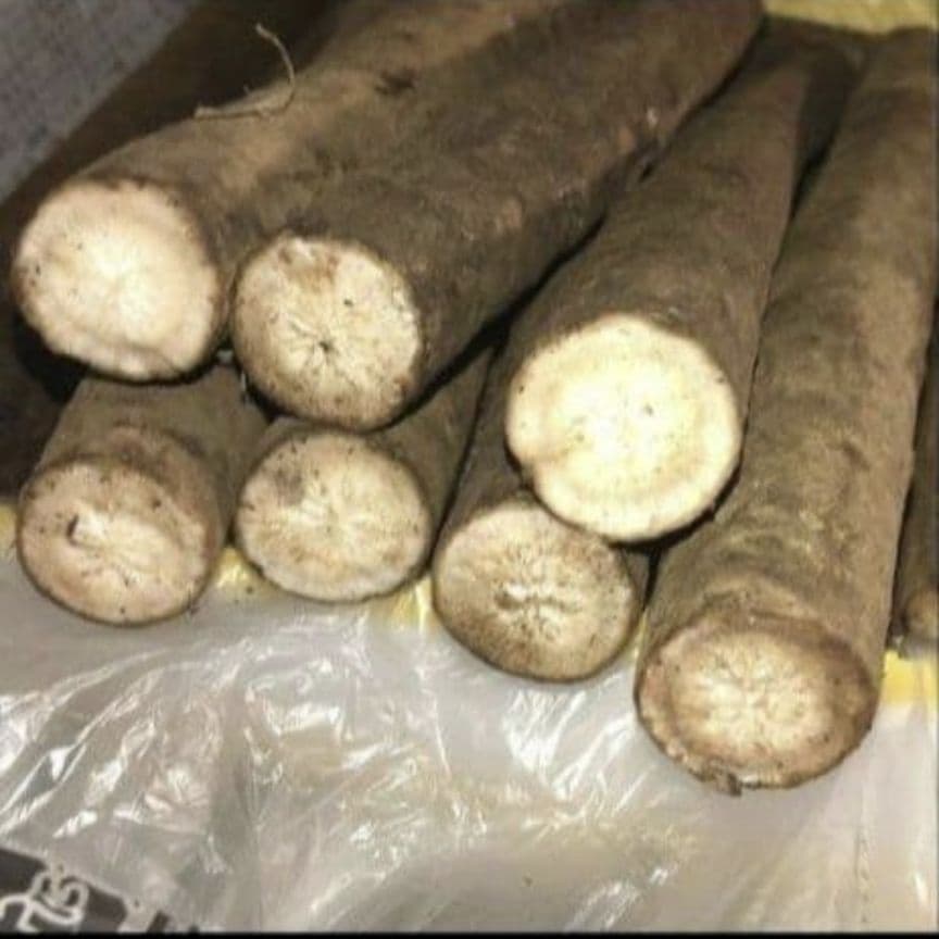 りんりん様専用ページですm(__)m - メルカリ