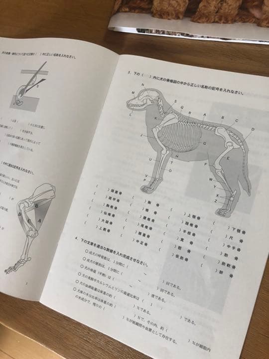 ヒューマンアカデミーのペットホテル開業講座のテキスト一式です