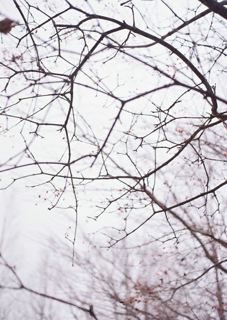 Minolta repo-S（整備済み）