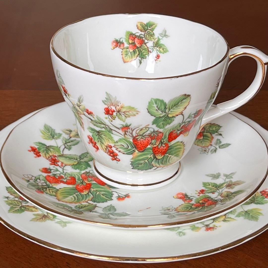 【英国ビンテージ】ダッチェス★ワイルドベリー★トリオ 2025年版『ガンベロロッソ』最優秀協同組合「ベリサリオ」 | イタリア