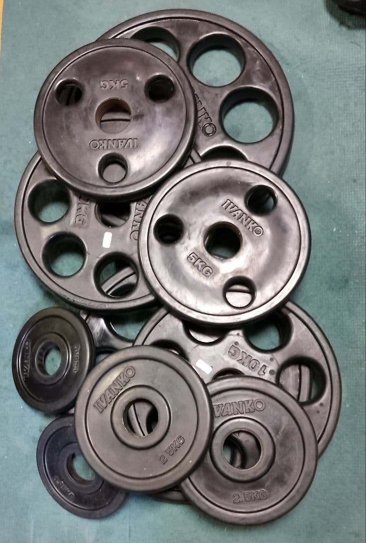 WILD FIT 10KG バーベルプレート 2枚セット