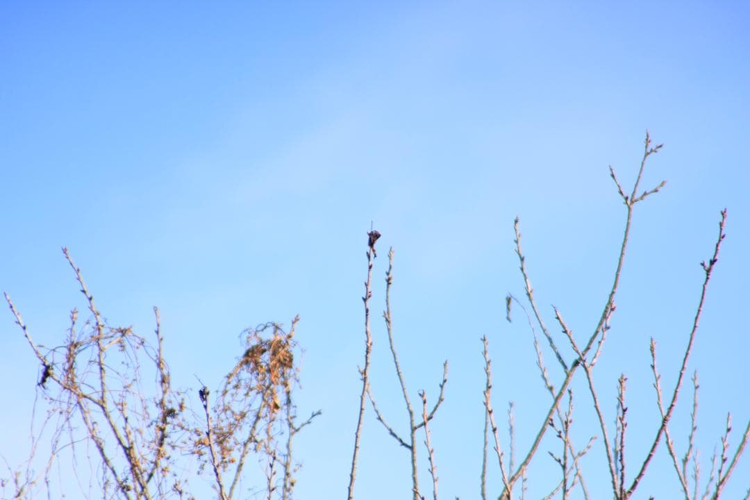 Canon EF 28-200mm f3.5-5.6 USM 【中古】