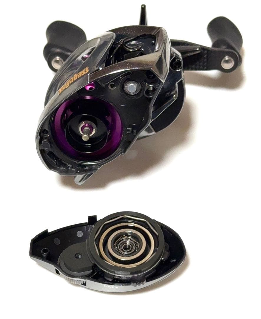 ダイワ 25 スティーズリミテッド CT SV TW キャリル SLP カスタム