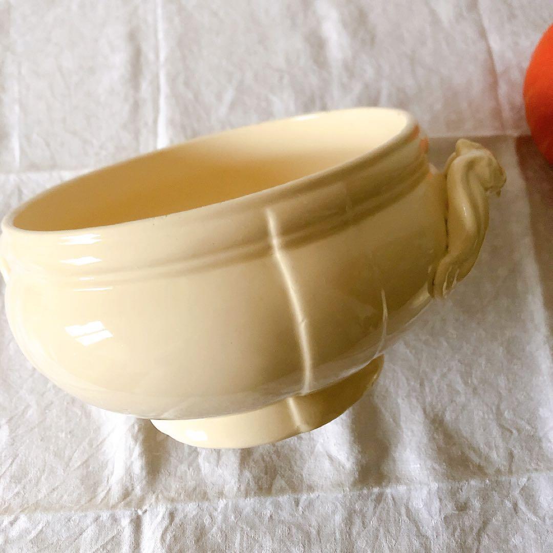 ディゴワンサルグミンヌ 花リムスーピエール フランスアンティーク食器