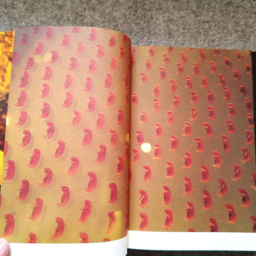 ◇古本◇蜷川実花サイン入り◇ノワール◇女性写真家、映画監督◇蜷川