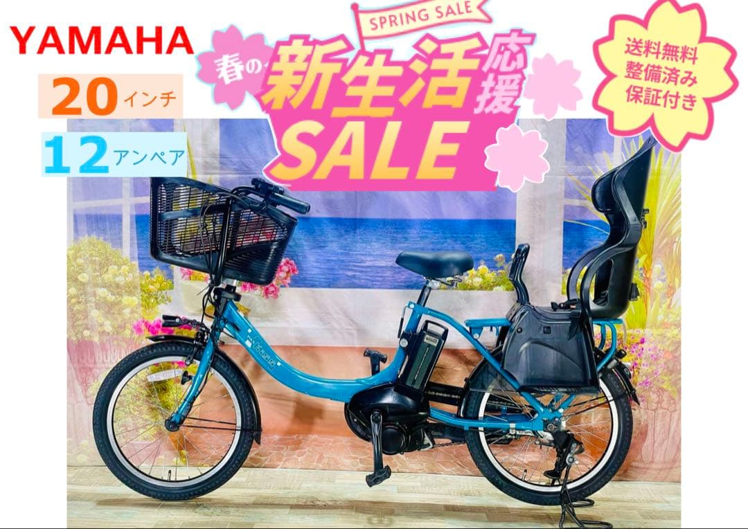 パスキス2019年⭐️12AH人気モデル！子供乗せ電動アシスト自転車Y3291
