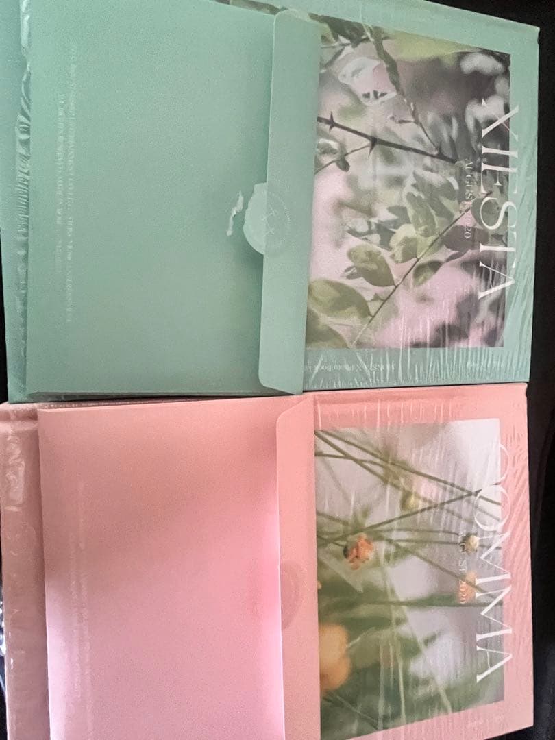 MONSTA X 2020 PHOTO COMMA + XIESTA 2冊 - メルカリ