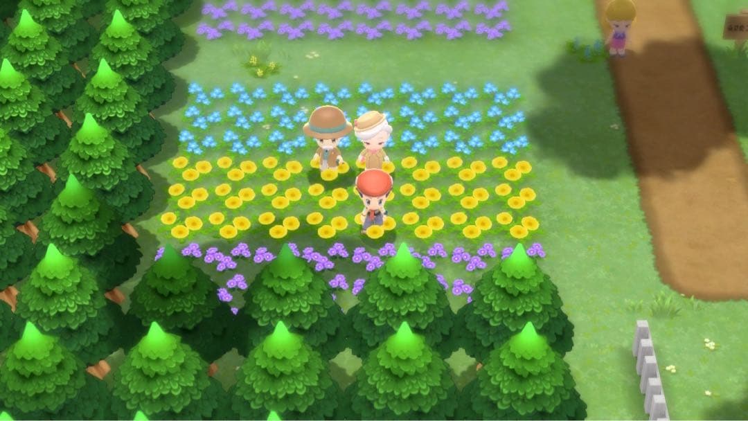 BDSP 1.1.1 SV 1.0.1 マイクラ1.17 Switch本体 - メルカリ