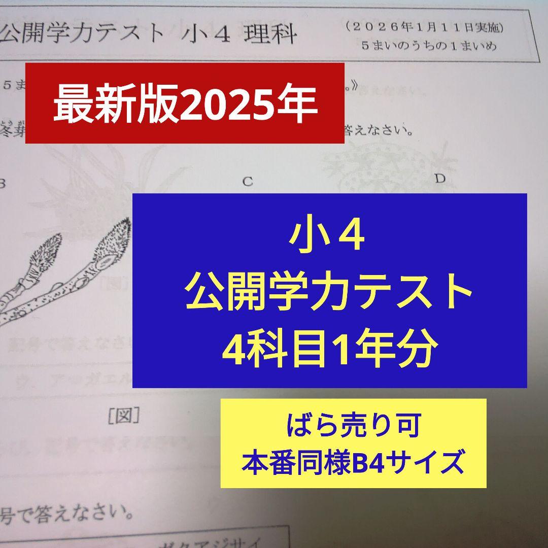 最新版2025年】浜学園小4 公開学力テスト 4科目1年分 - メルカリ
