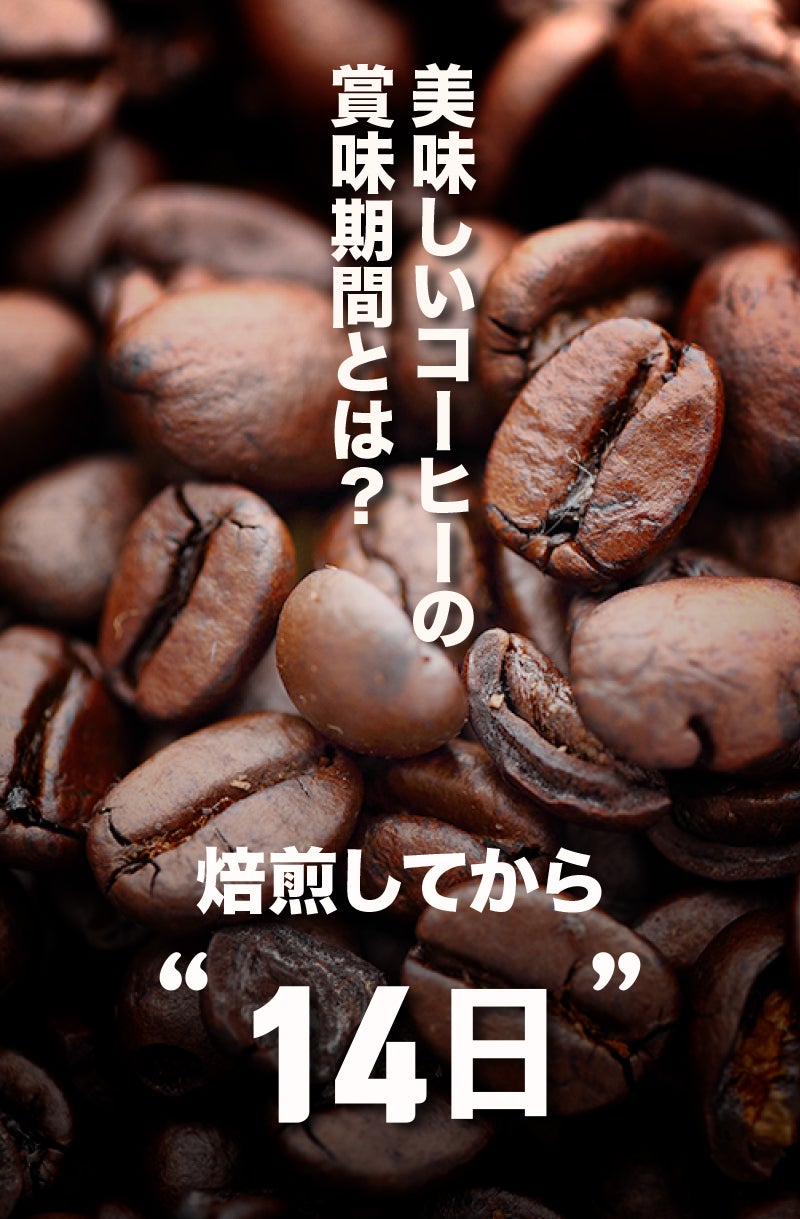 ワンタッチで強力真空保管！6ヶ月以上新鮮で美味しいコーヒーの秘密