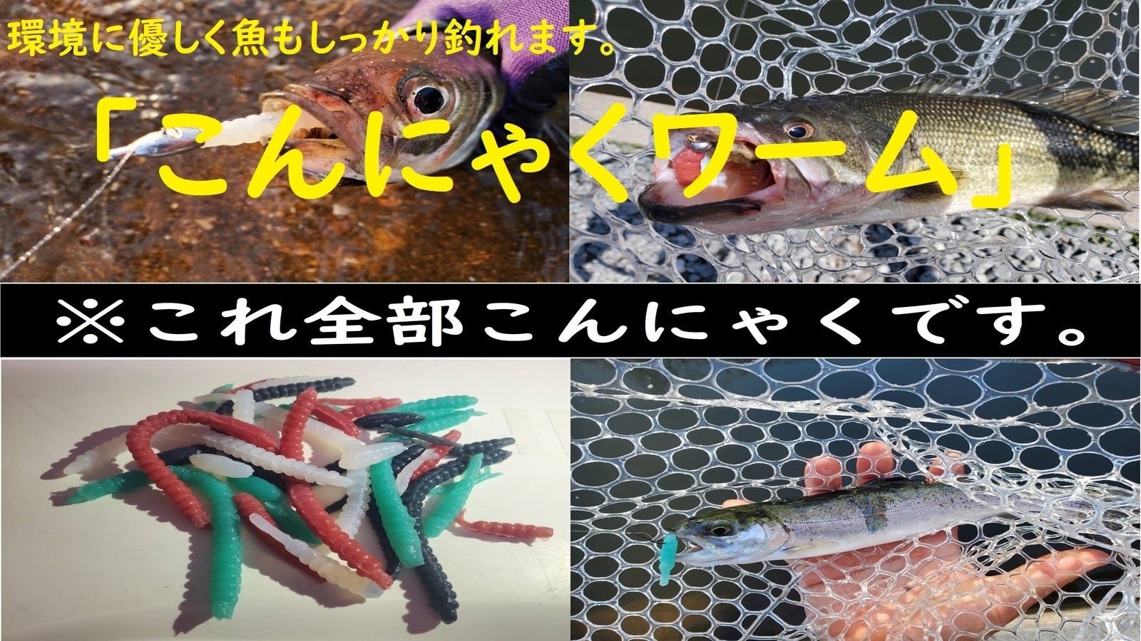 こんにゃくが釣りを変える！海や川を汚さない環境に優しいルアー